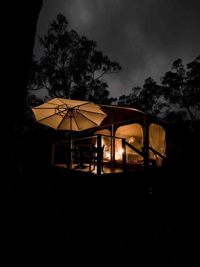 Wild Nature Lodge, Mareeba Wetlands Biboohra Ngoại thất bức ảnh