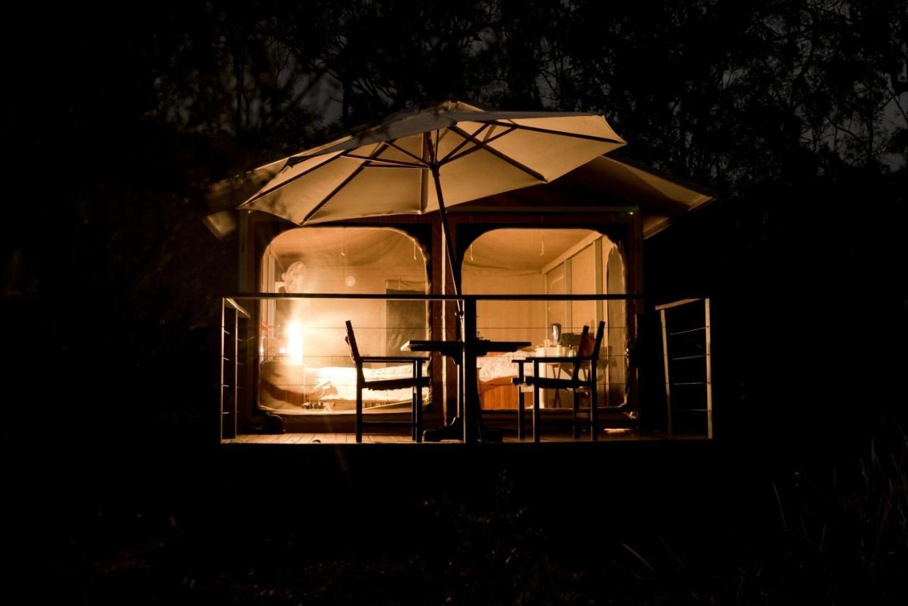 Wild Nature Lodge, Mareeba Wetlands Biboohra Ngoại thất bức ảnh