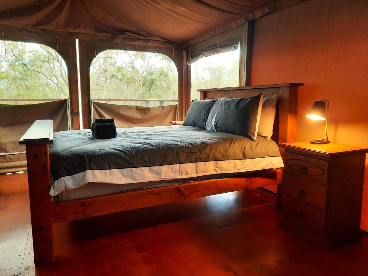 Wild Nature Lodge, Mareeba Wetlands Biboohra Ngoại thất bức ảnh