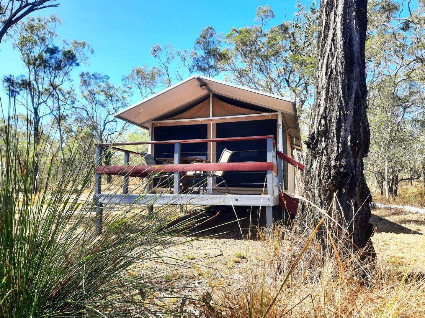 Wild Nature Lodge, Mareeba Wetlands Biboohra Ngoại thất bức ảnh